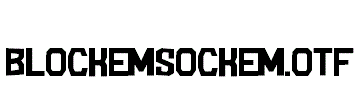 BlockemSockem