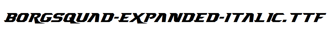 Borgsquad-Expanded-Italic