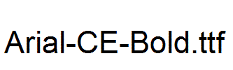 Arial-CE-Bold.ttf