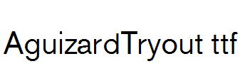 AguizardTryout.ttf
