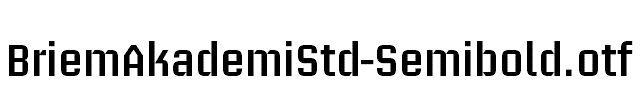 BriemAkademiStd-Semibold.otf