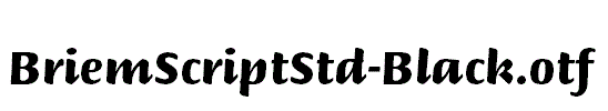 BriemScriptStd-Black.otf