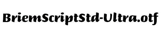 BriemScriptStd-Ultra.otf
